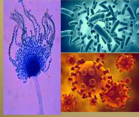 Механизмы передачи инфекционных заболеваний или как можно заразиться