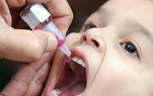Три факта о диком полиомиелите