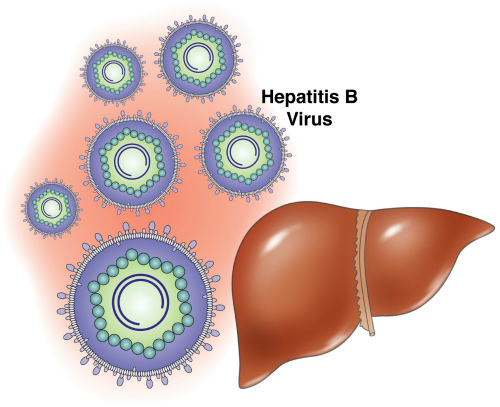 Как проводится экстренная профилактика ВИЧ и гепатита